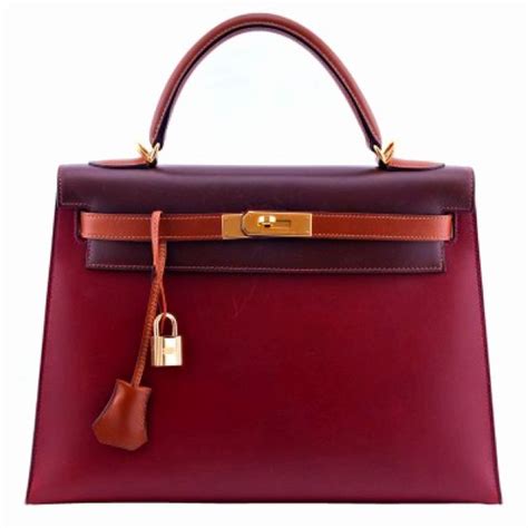 hermes kelly bag tricolor|hermes kelly bag preis.